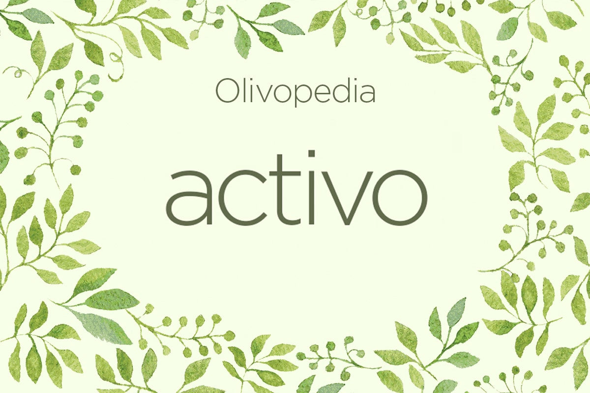 Olivopedia: Activo