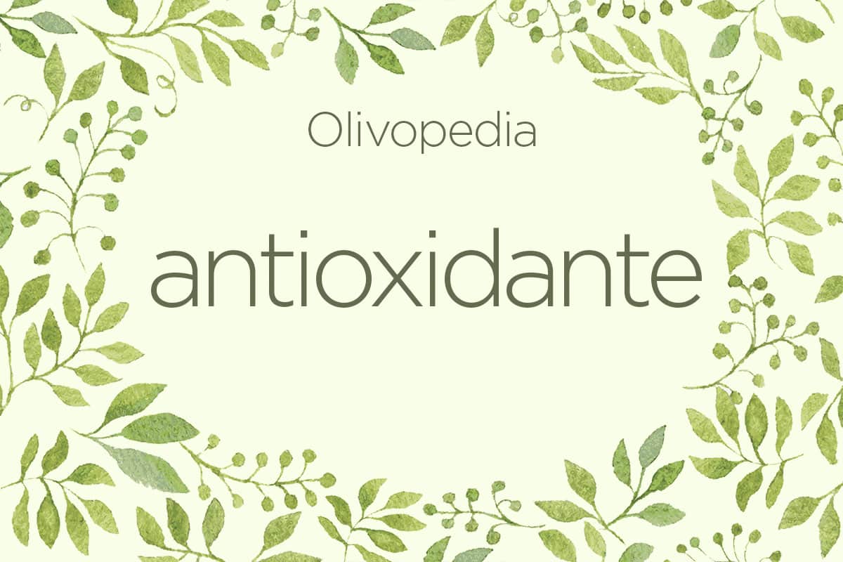 Olivopedia: Antioxidante