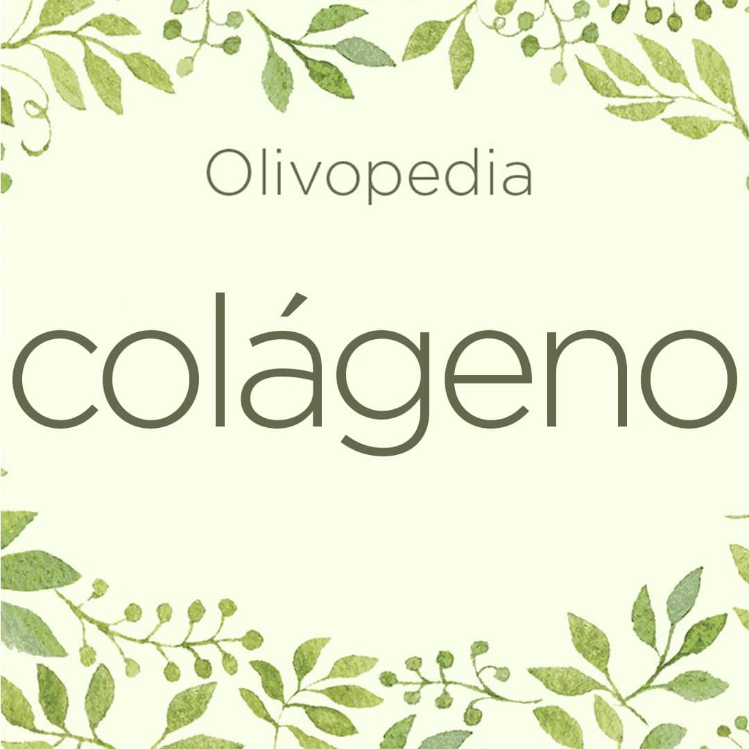 Olivopedia: Colágeno