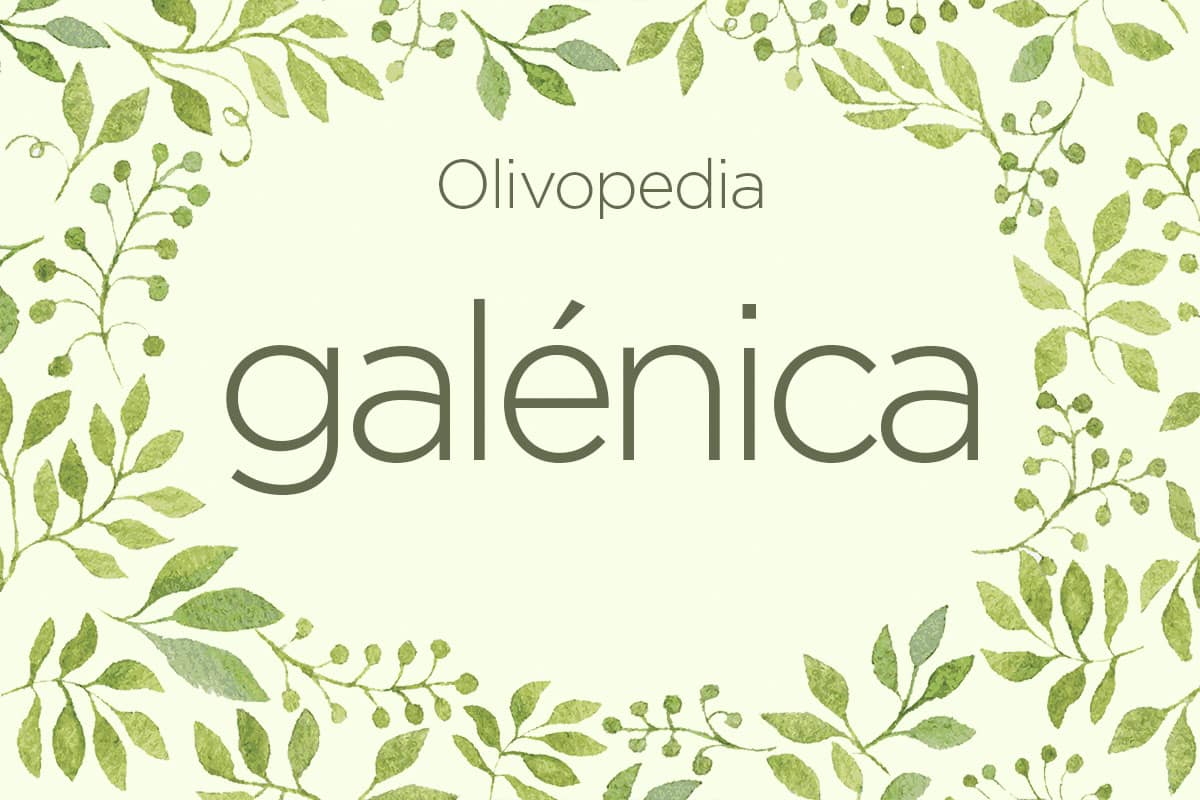 Olivopedia: Galénica