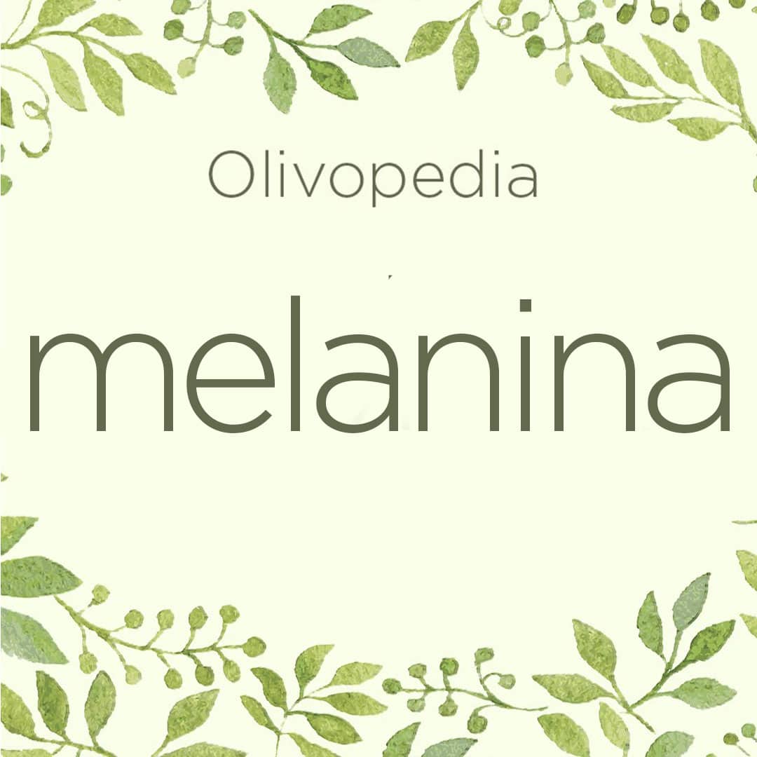 Olivopedia: Melanina