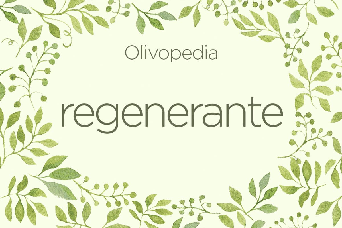 Olivopedia: Regenerante